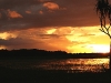 Bamurru Plains - Daniel Scott 02