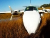 airboat-removes-leaking-plane