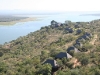 Nkwazi Game Lodge
