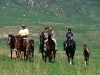 Wild Horses Lodge - horse riding