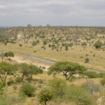 Tarangire River & National Park