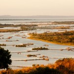 Kosi Bay
